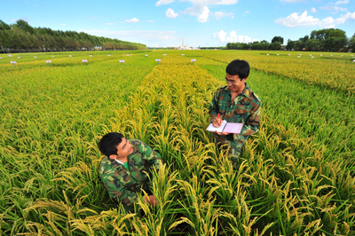 北大荒 青春好年華 蓄勢再揚帆——寫在黑龍江墾區開發建設七十周年之際